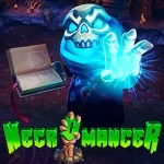 Слот Necromancer