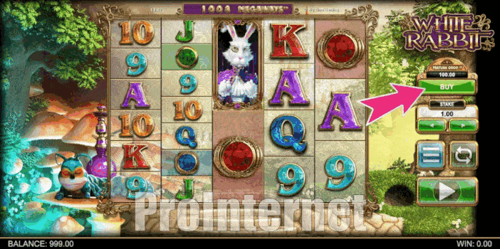 Купить бонус в слоте White Rabbit
