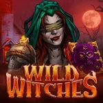 Автомат Wild Witches
