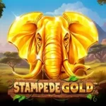 Stampede Gold логотип гри