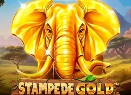 Stampede Gold Slot: особенности и выигрышные символы — обзор бонусных опций