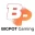 Слоты провайдера Bigpot Gaming