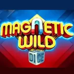 Magnetic Wild Dice логотип гри