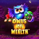 Owls of Wealth: особенности и выигрышные символы — обзор бонусных опций