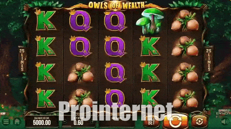 Owls of Wealth риск-игра