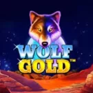 Wolf Gold Slot: особливості та виграшні символи — огляд бонусних опцій