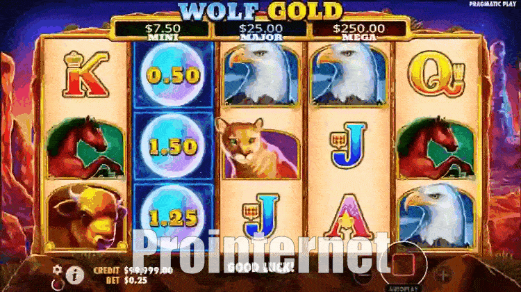 Як грати в Wolf Gold