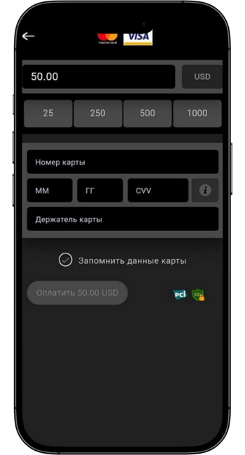 Способи онлайн оплати в закордонних казино