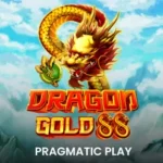 Грати в Dragon Gold 88