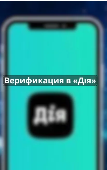 верификация в ДИЯ