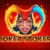 Вогняний Джокер та гарячі фріспіни: повний розбір слота Joker Stoker